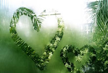 这样的表现不够！杜兰特半场10中5&三分3中1拿11分5板 正负值-22.