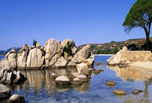 B体育官网：澳大利亚主帅：中国队值得尊重 实力与之前相当.